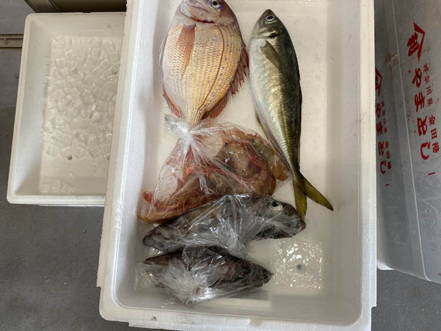 鮮魚