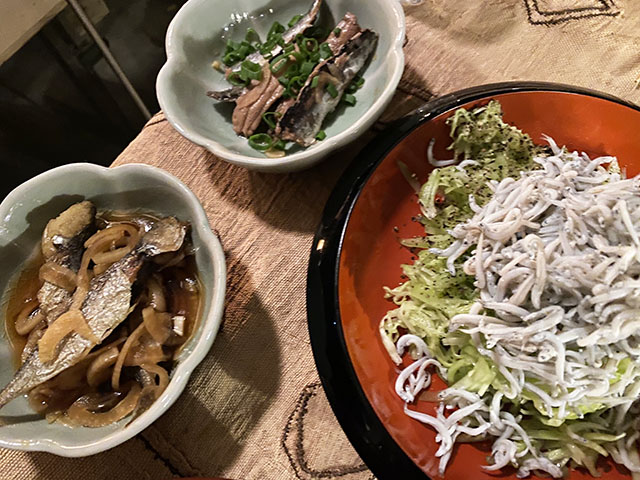 20.09.28_c_iwashi