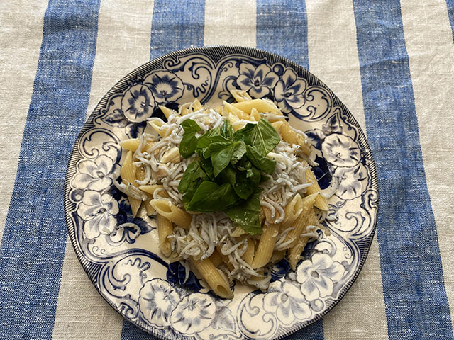 20.11.05_b_penne
