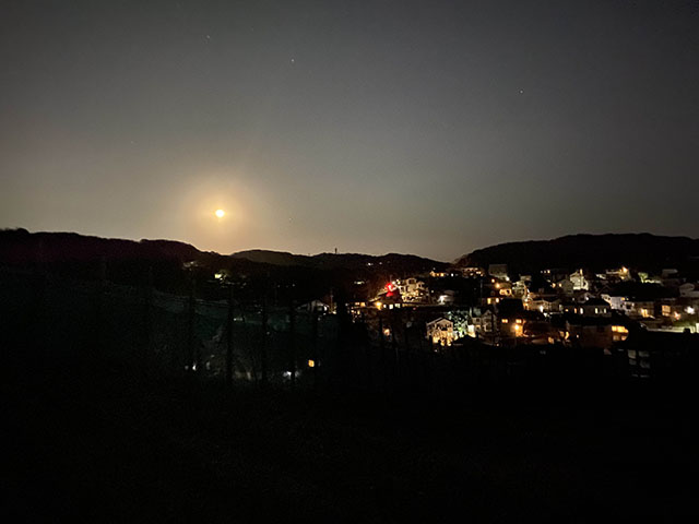 21.01.31_c_moon