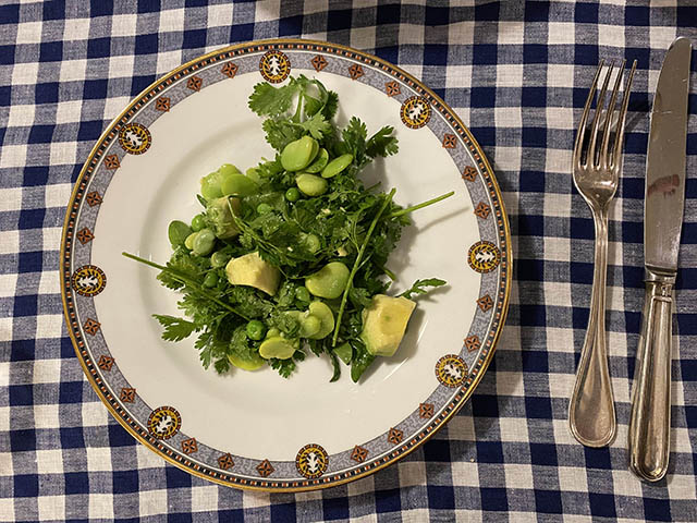 20.05.15_c_saladedecoriandre02