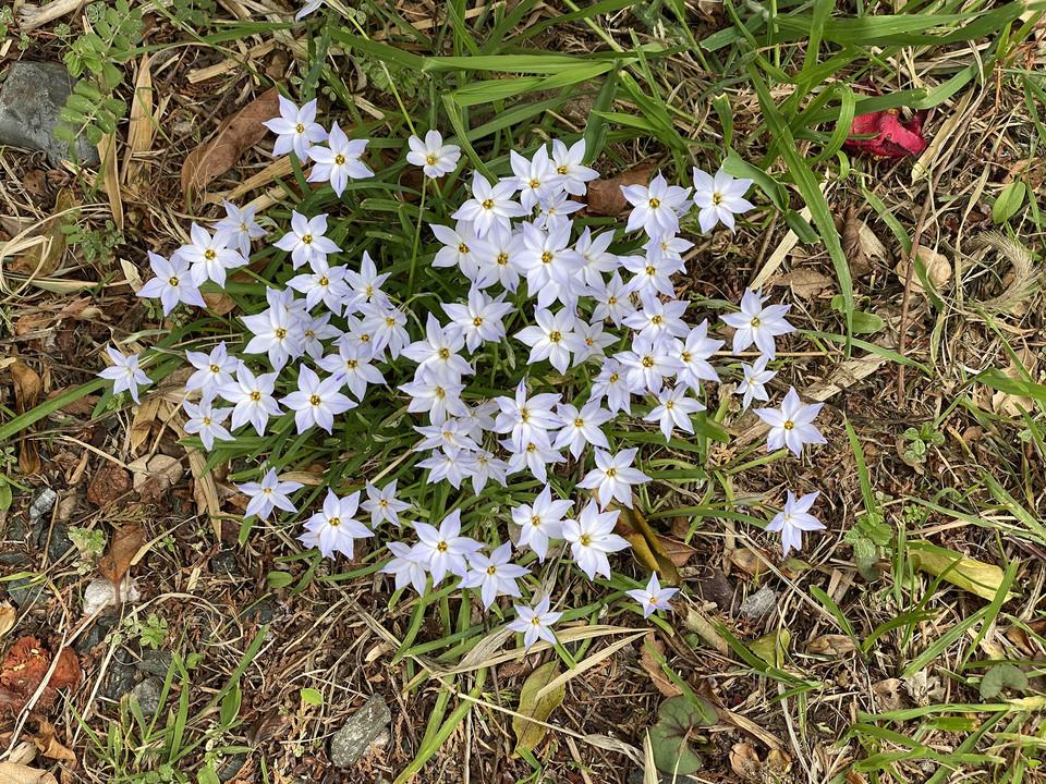 21.03.28_a_hananira