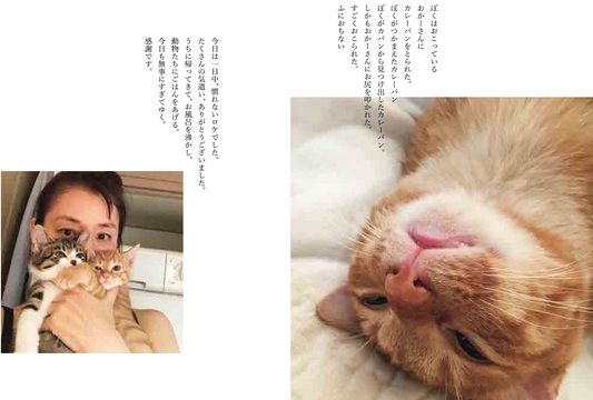 なんでもない 毎日こそが愛おしい 石田ゆり子さんと動物たちの5年間の記録 Mylohas