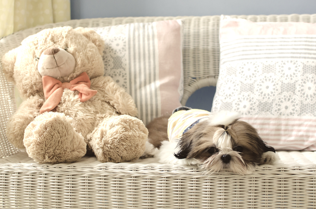 生理前からはきたい 骨盤の底を支える画期的なショーツ Mylohas