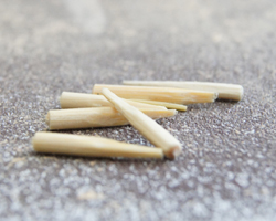 自炊 お弁当ライフを格上げする ごはんが100倍おいしくなる魔法の木箱 Mylohas