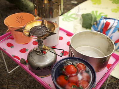 1209picnic11.jpg