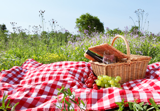 1209picnictop.jpg