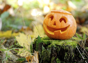 121030NEWSpnp01.jpg