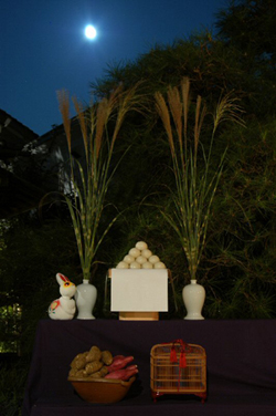 121221NEWSkami003.jpg