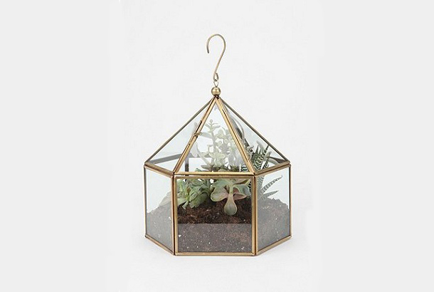 120622Terrarium4