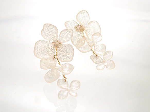 リアル生花アクセサリー が 永遠の美しさをくれるよ Roomie ルーミー