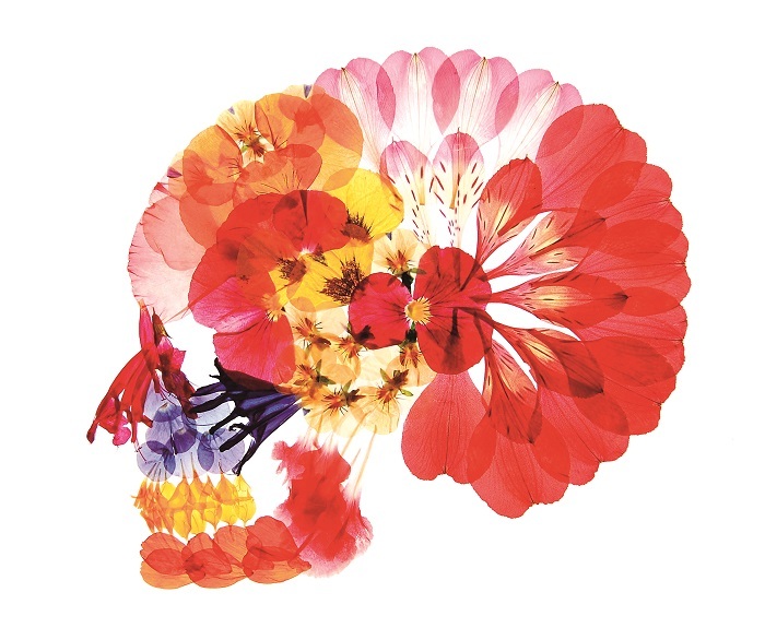 こんなに美しい骸骨は ほかにはないね Roomie ルーミー