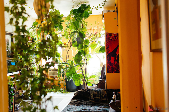 Nyのアパートで500以上の植物と暮らす モデルの 都会派グリーンライフ Roomie ルーミー