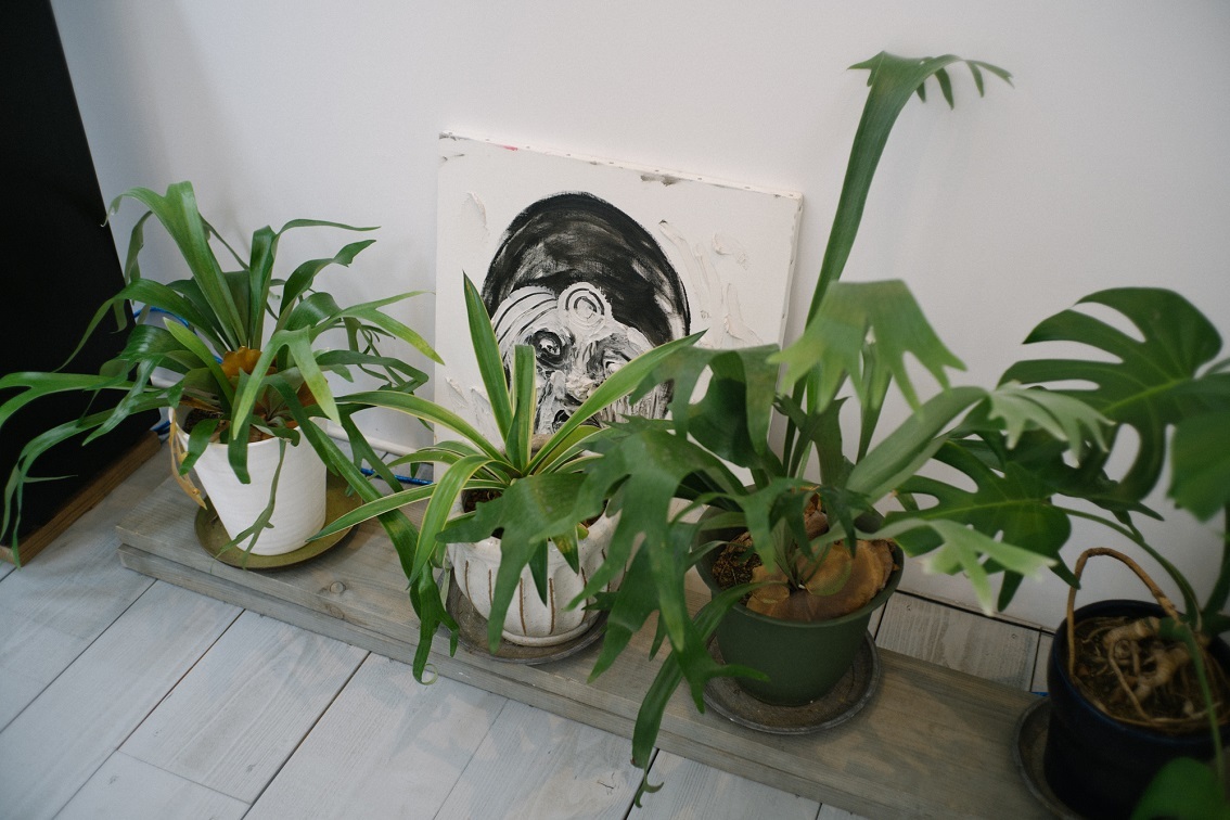 安く素敵なグリーンのある部屋