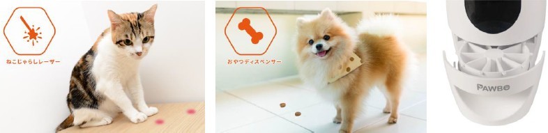 外出中にペットの行動が見られるカメラ、パウボ フラッシュ