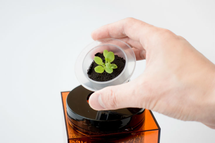 SPACEPOT