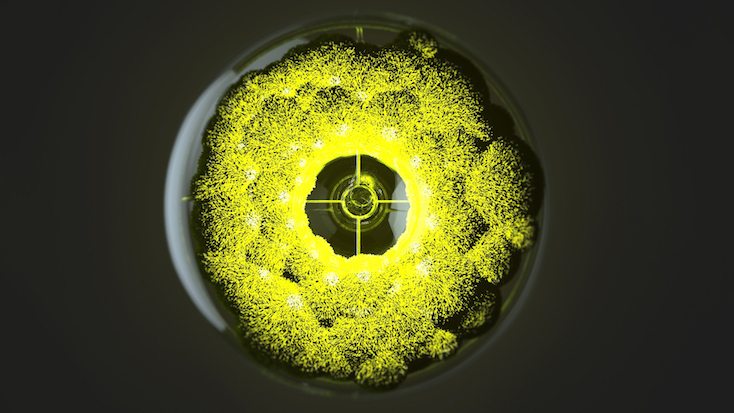 Marko Vuckovic氏が製作したコケを植えてDIYするMosslamp