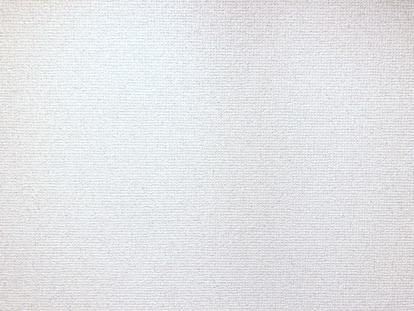 穏やかな休日、何の予定もなく、ただただ「壁」を見つめている時間