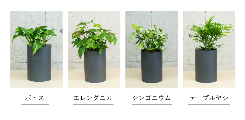手作りIoTデバイスで、植物との「ちょうどいい関係」を作ろう【hacot】