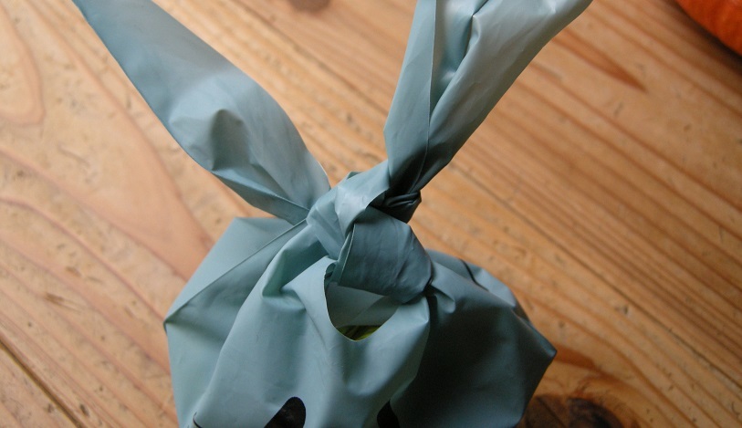 ゆるい顔したフライングタイガーのバッグが 子どものお持たせで活躍します Kids Roomie Roomie ルーミー