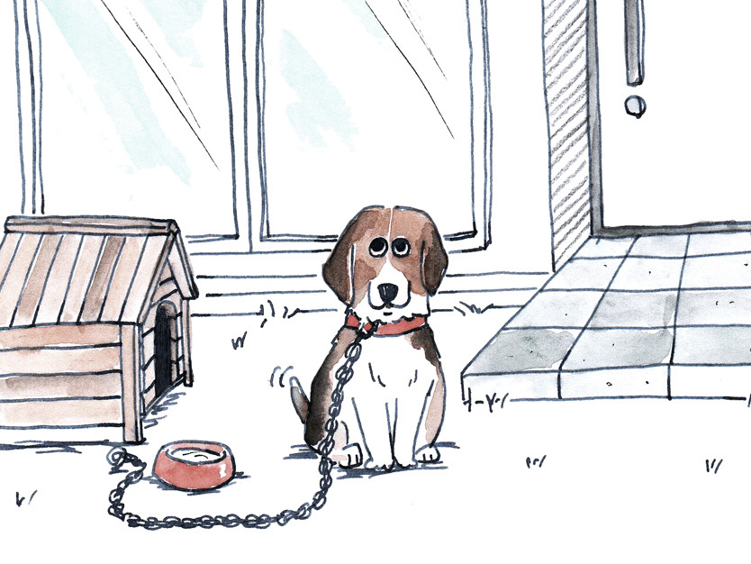 ねぇ 賑やかな家に住もうよ しんと静かな部屋で 私は夫にそう言った Roomie ルーミー