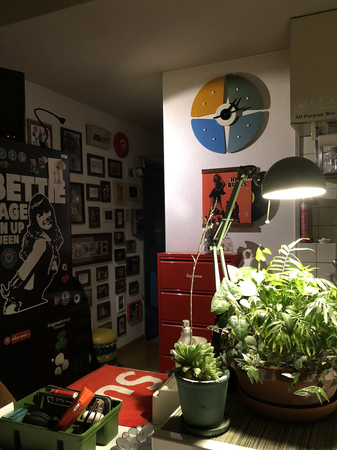 1日の疲れがここで癒される カウンターでお酒を飲みながら眺める グリーンに囲まれた空間 わたしの部屋 Roomie ルーミー