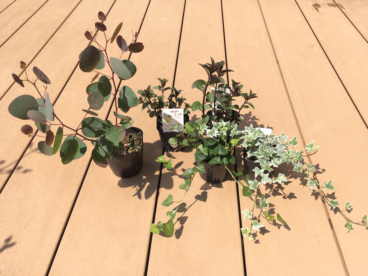 植物を育てたくて 屋外で5年は持つ植木鉢 をゲット 軽量だから部屋にも置きやすいよ マイ定番スタイル 21年2月3日 Biglobeニュース