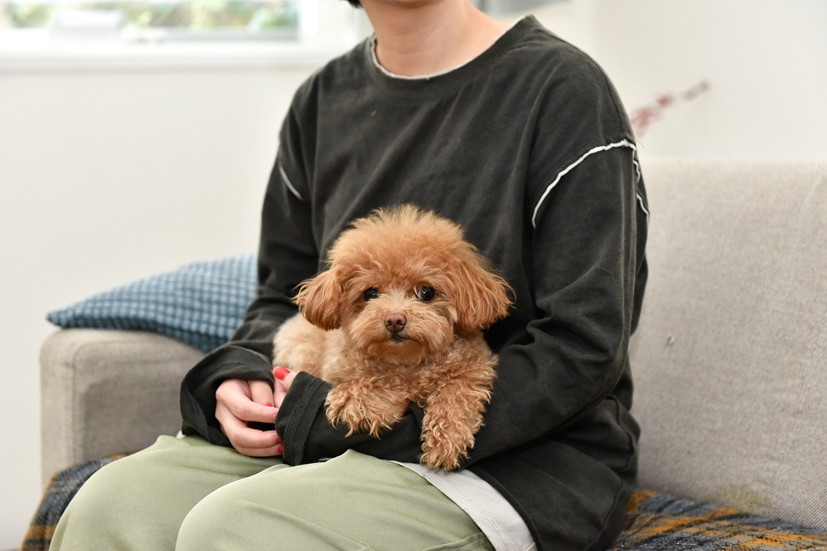 ちゃちゃまるの「お気に入りの場所」