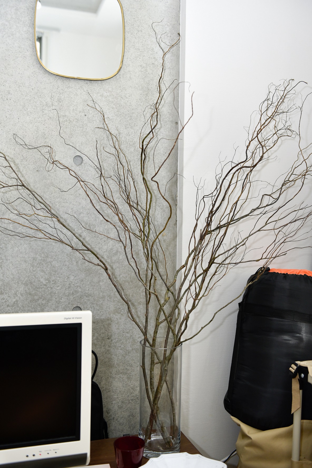 モデル とみいさんと 愛犬ちゃちゃまると ときどきセレクト小物 撮影もおこなう 遊び心に溢れた1kのお部屋 Roomie ルーミー