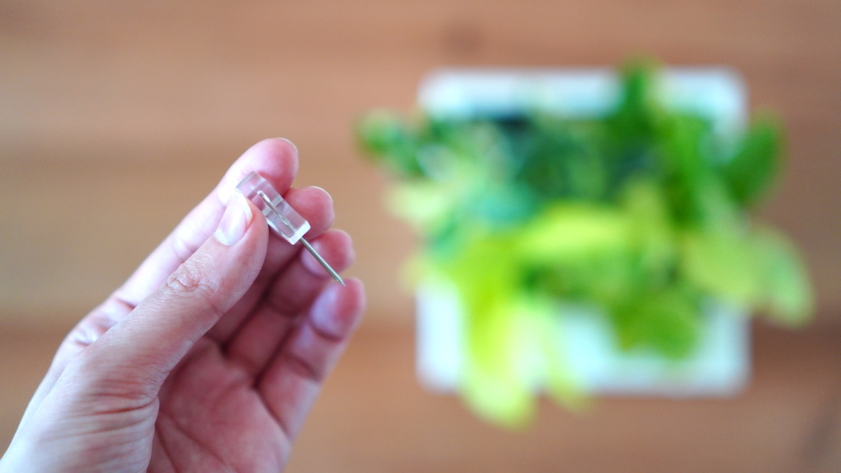 無印良品の 壁にかけられる観葉植物 で緑のある暮らしデビュー 毎日の水あげ不要 省スペースに癒しをプラスできちゃった Roomie ルーミー