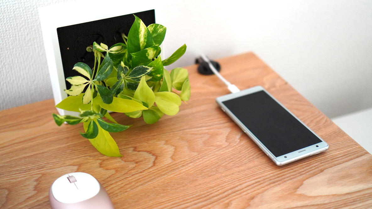 無印良品の 壁にかけられる観葉植物 で緑のある暮らしデビュー 毎日の水あげ不要 省スペースに癒しをプラスできちゃった Roomie ルーミー