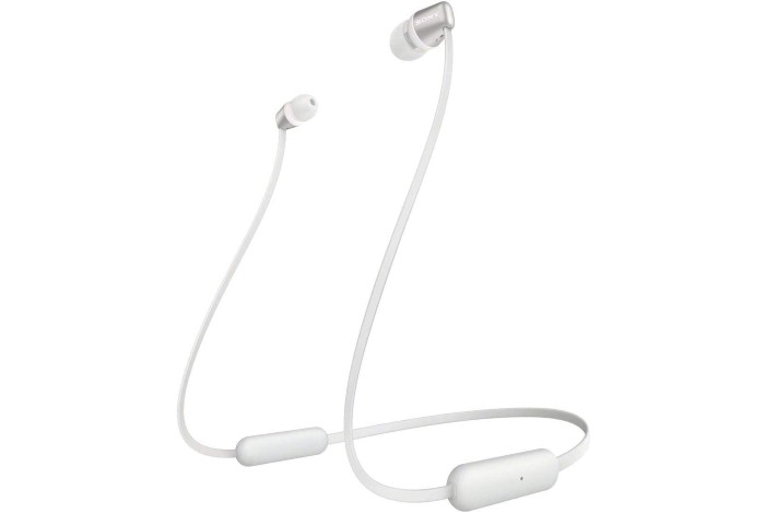 SONY WI-C310