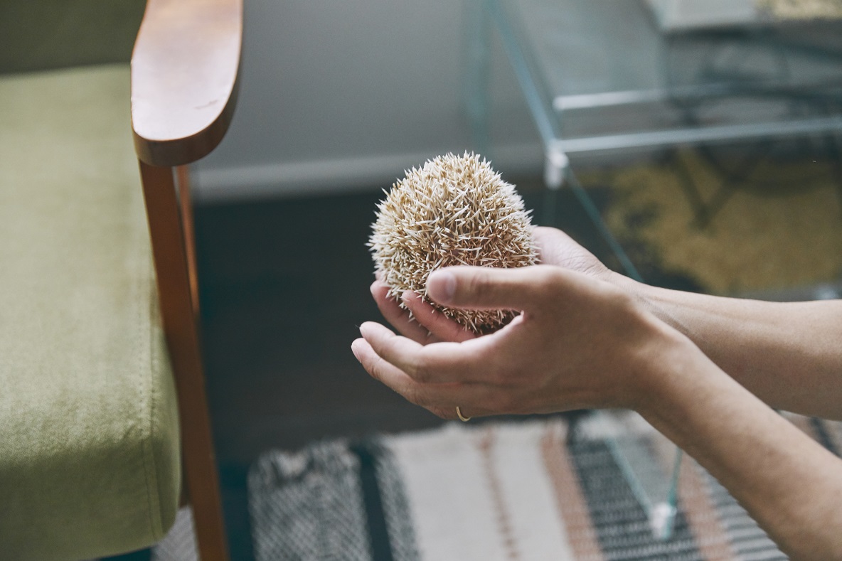 50 の1ldkでハリネズミとハムスターと暮らす 100均アイテムを駆使して模様替えを楽しむ新婚夫婦 Roomie ルーミー