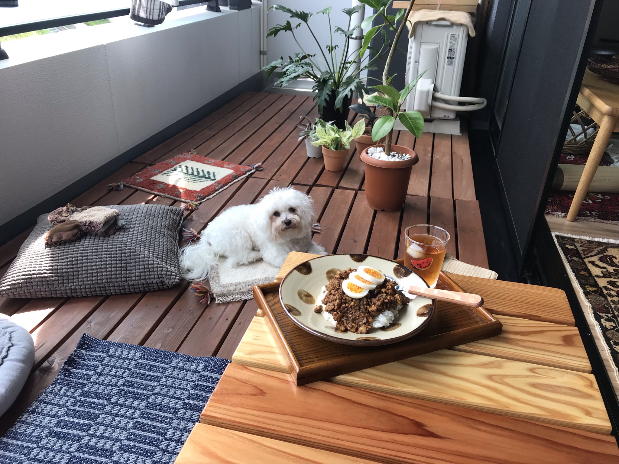 ハーブの育成や愛するペットとの触れ合い みんなの ベランダの活用法 を聞いてみた Roomie ルーミー