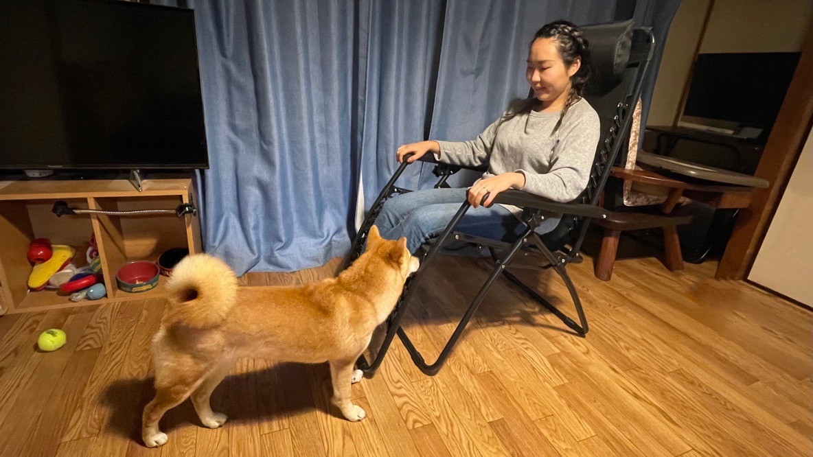 Amazonベーシックの ゼログラビティチェア は家でも外でも人をダメにする Roomie ルーミー Amazonベーシックの ゼログラビティチェア は家でも外でも人をダメにする Roomie ルーミー