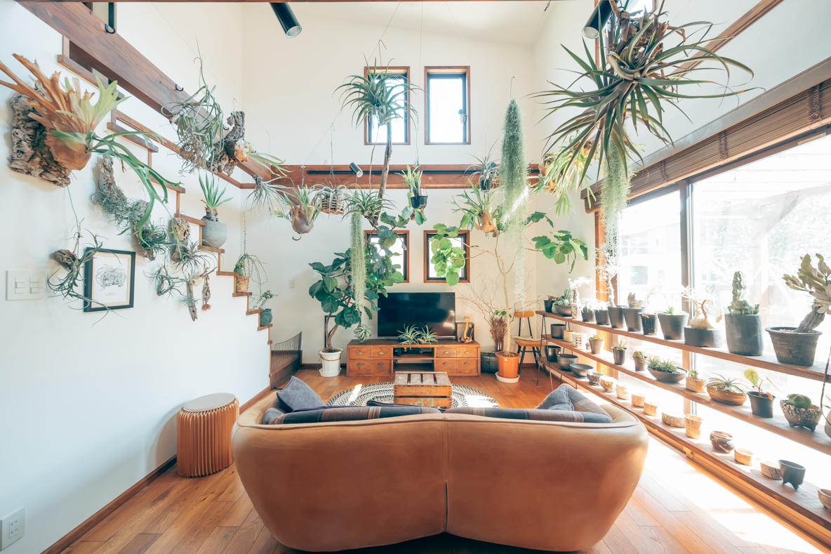 観葉植物がインテリアの主役 温暖な気候で森を目指す 庭つき一戸建て 和歌山県和歌山市 みんなの部屋 Roomie ルーミー