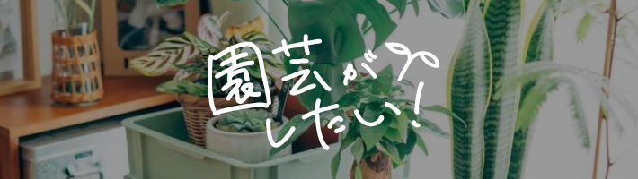 園芸がしたい！