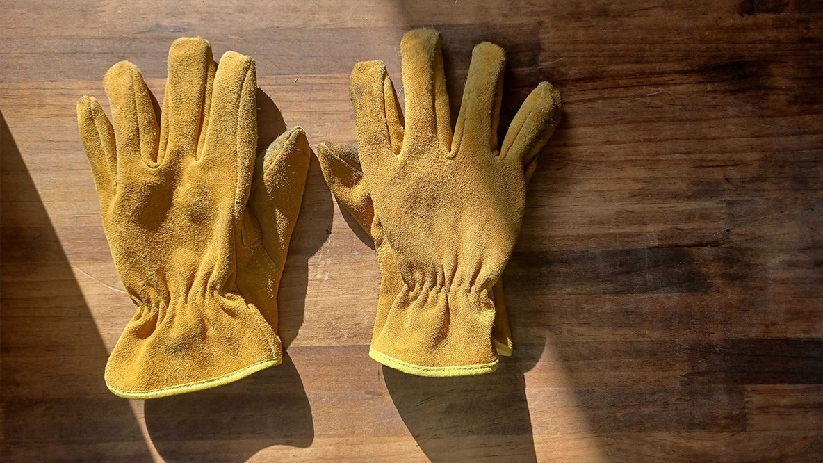 ワークマンの 499円グローブ は焚き火でも十分使える逸品でした Roomie ルーミー