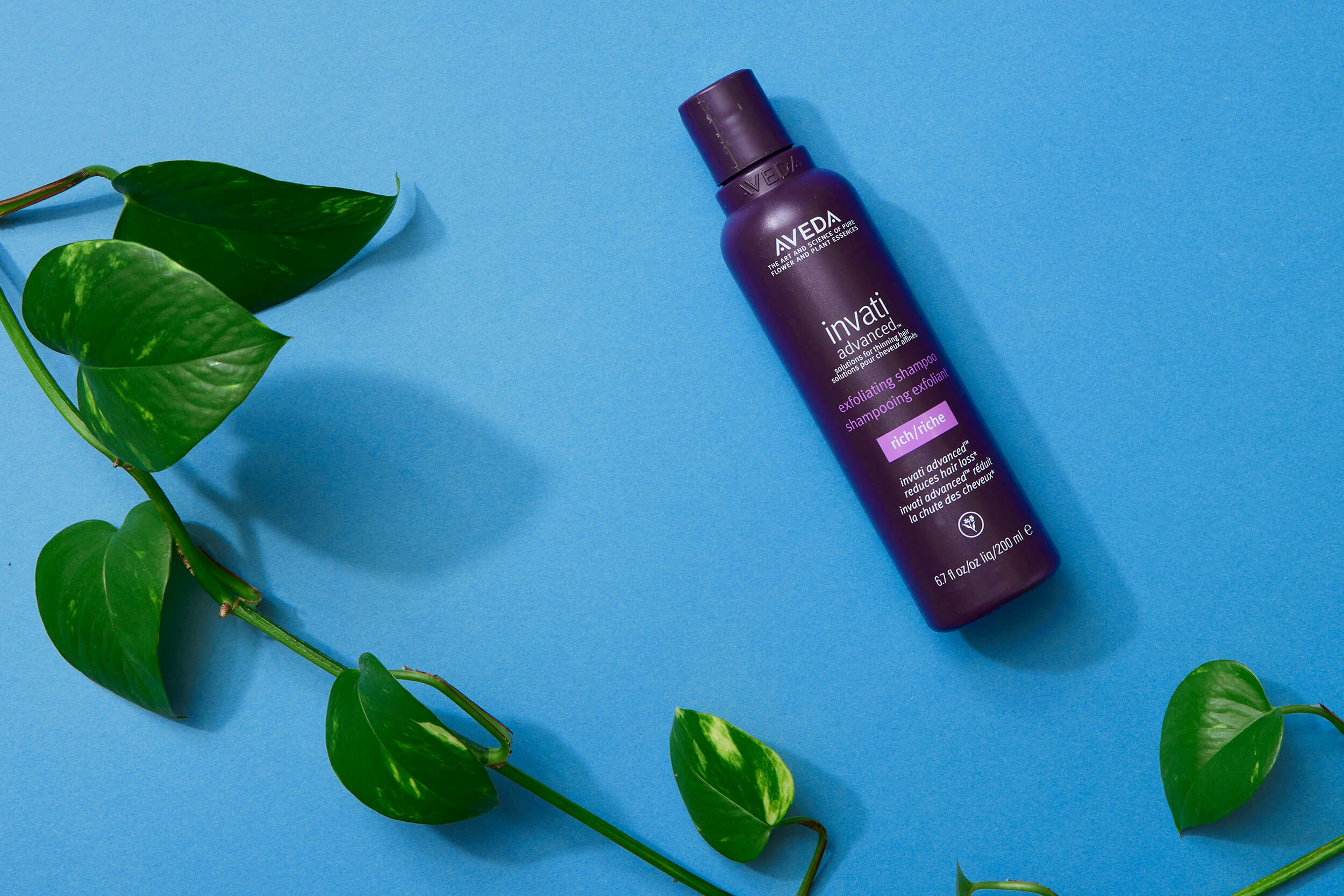 オーガニックシャンプーおすすめ14選 ノンシリコンやメンズ向けも紹介 Roomie ルーミー