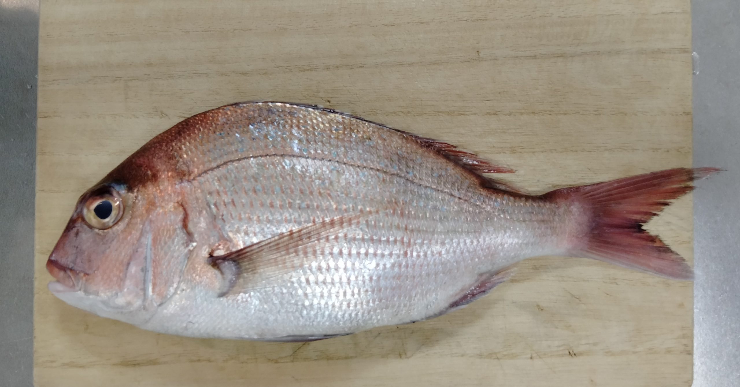 「電気圧力鍋」で超カンタン! サンマ&鯛…秋に食べたい旬の魚料理 | ROOMIE(ルーミー)