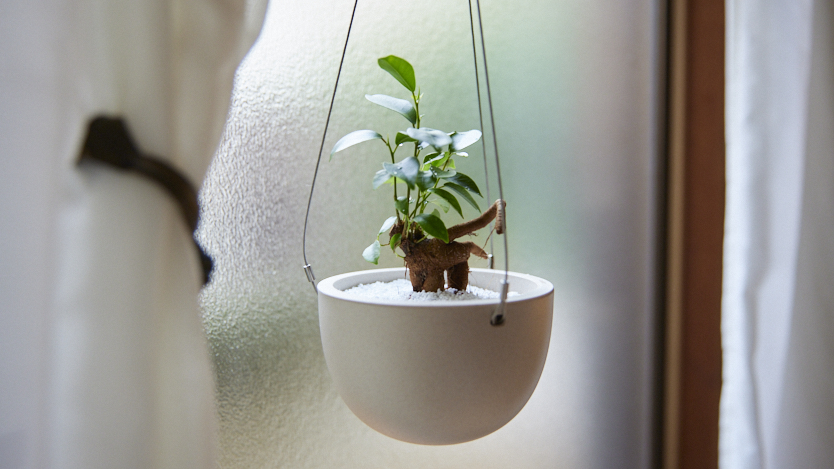 空中に植物を浮かせる 新しいプランター