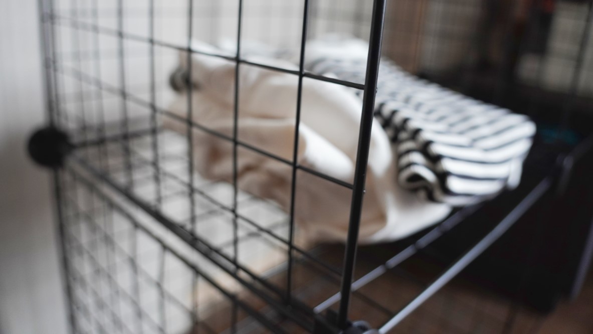 Amazon Basic「3,000円で買える収納キューブ」が秀逸すぎ | ROOMIE