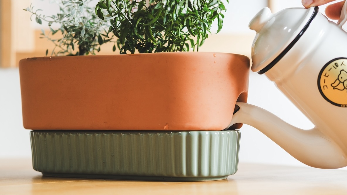 見た目も最高なIKEAの「自動水やり植木鉢」のおかげで植物がもっと身近