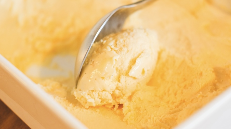 すっかりハマって。念願のアイスクリームメーカーをゲットしました