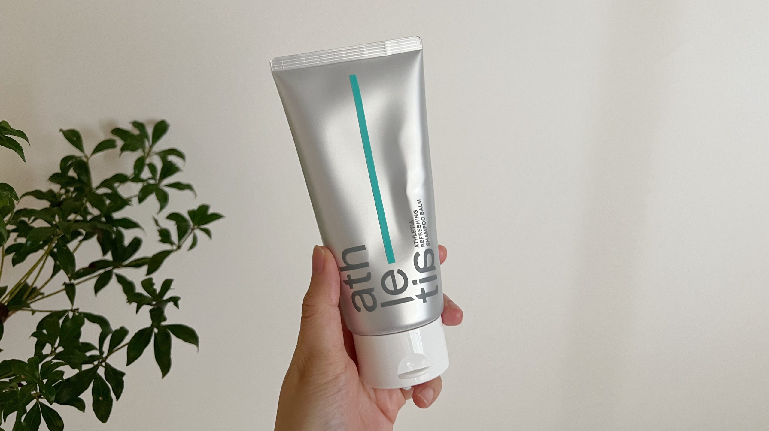 アムちゃんベルベットシャンプー2リットル アムちゃんベルベットシャンプー2リットル アムちゃんベルベット