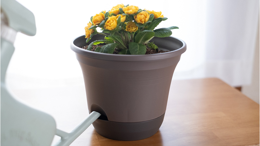 鈞窯 植木鉢支え 水盤 鈞窯 植木鉢支え 水盤