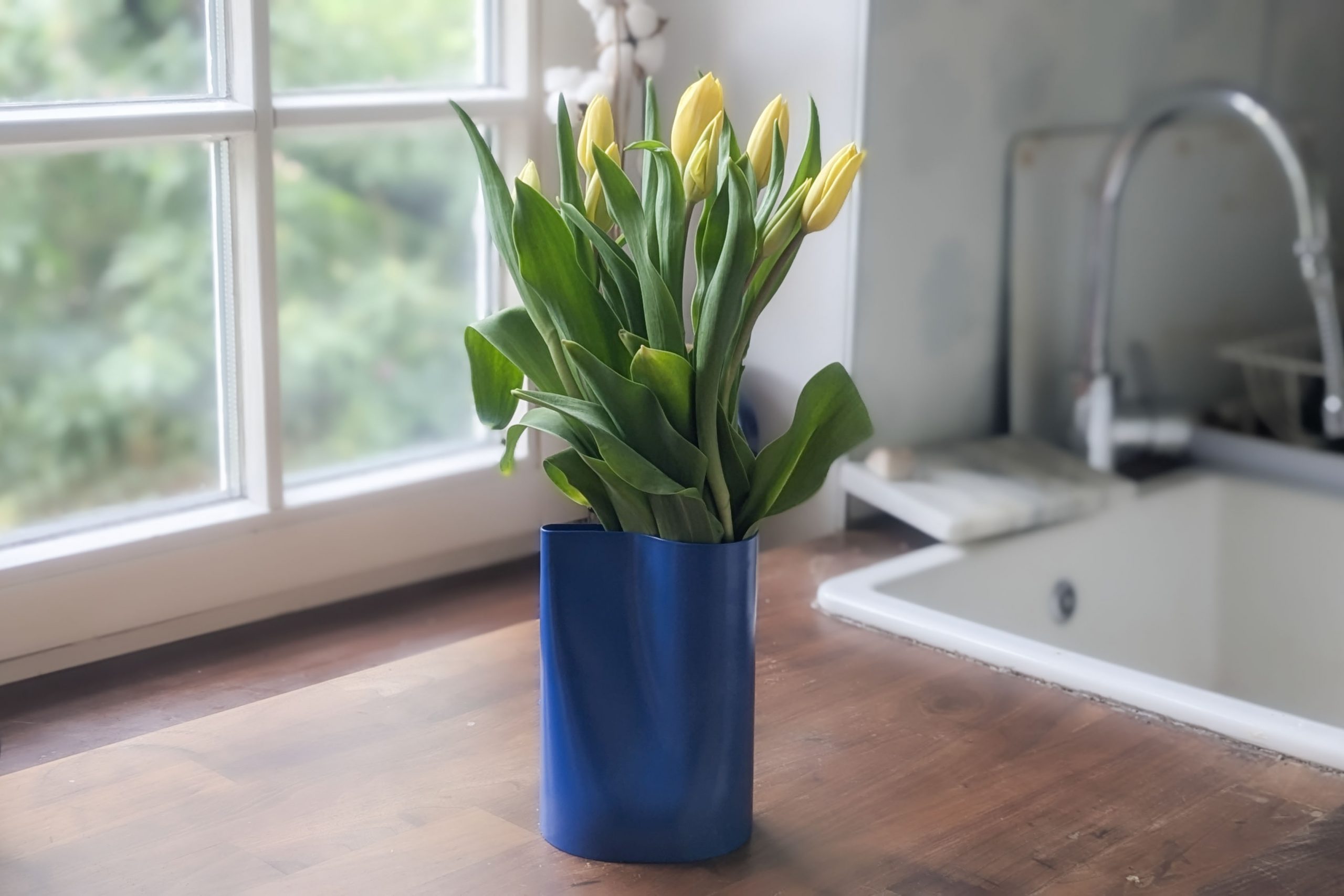 PXL_20250504_121628060.