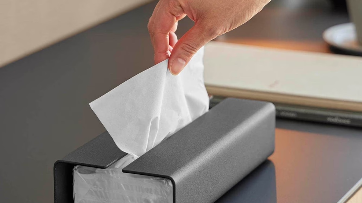 山崎実業の新作で、イラッとするソフトパックティッシュのあれを解消