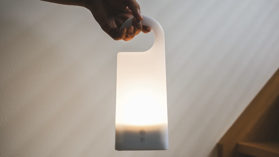 202408013_shrkm_muji6.jpeg