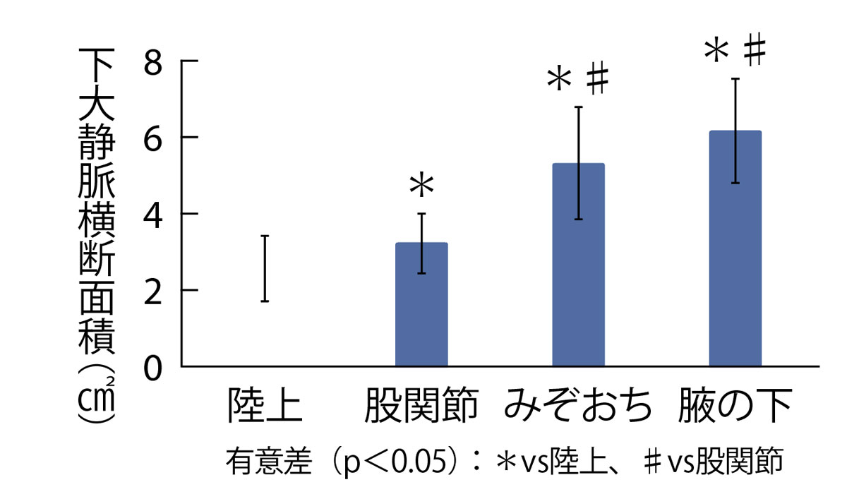 下大静脈横断面積